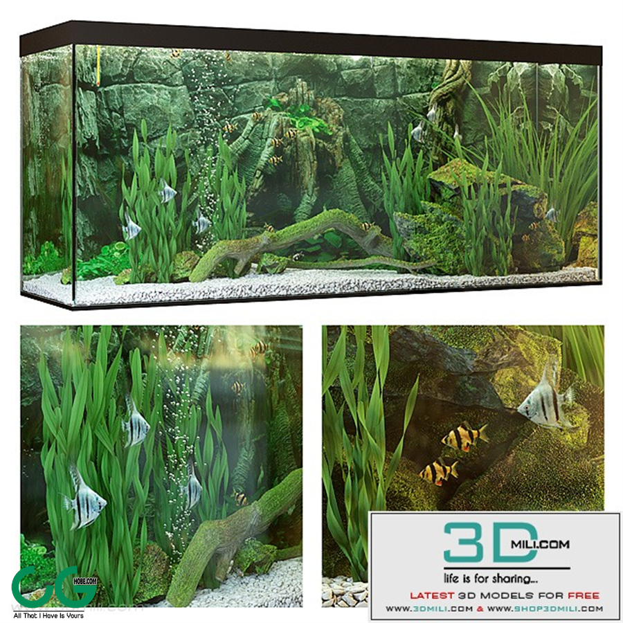 Aquarium